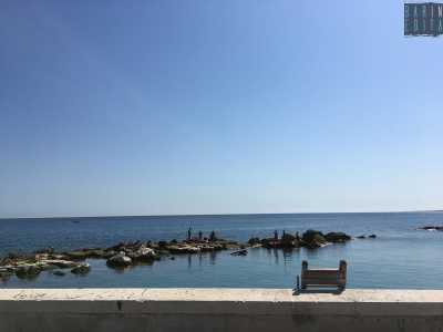 Ed � proprio in questo punto che notiamo tre scalette in legno...